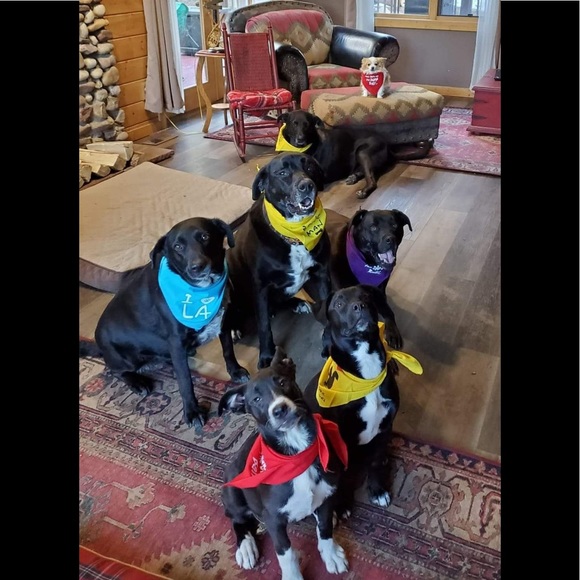 🐶My Family Went to Hawaii, I got Lousy Bandanna - Picture 4 of 4